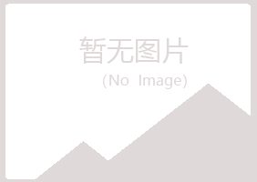 宝山区映易水泥有限公司